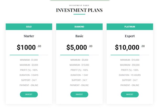 How to Invest in Cryptocurrency? Selecting a Crypto Investment Strategy