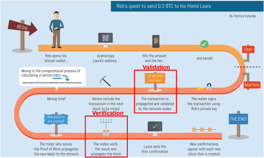 Blockchain Nodes | What Are Nodes and How Do They Work?