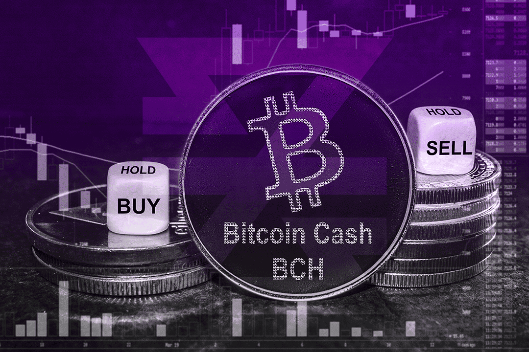 Bitsgap's BCH/USD Converter: Turn Bitcoin Cash into US Dollar | Bitsgap