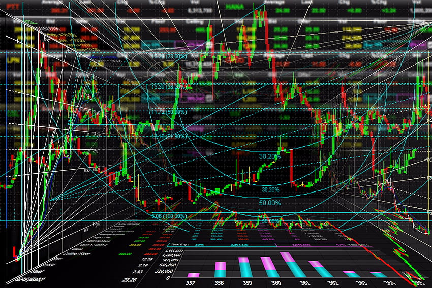 Traders, bear, bull, finance, forex, stock market, HD phone wallpaper | Peakpx