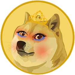 Dogecoin rates in PKR and USD – 1 July 