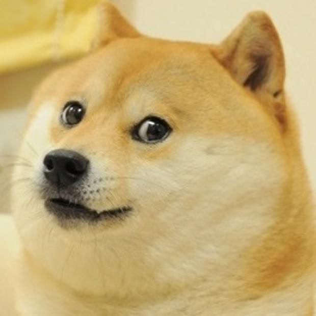 Doge Meme Generator APK (Android App) - Free Download