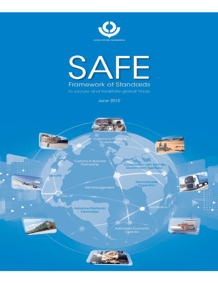 Safety & Security Industry