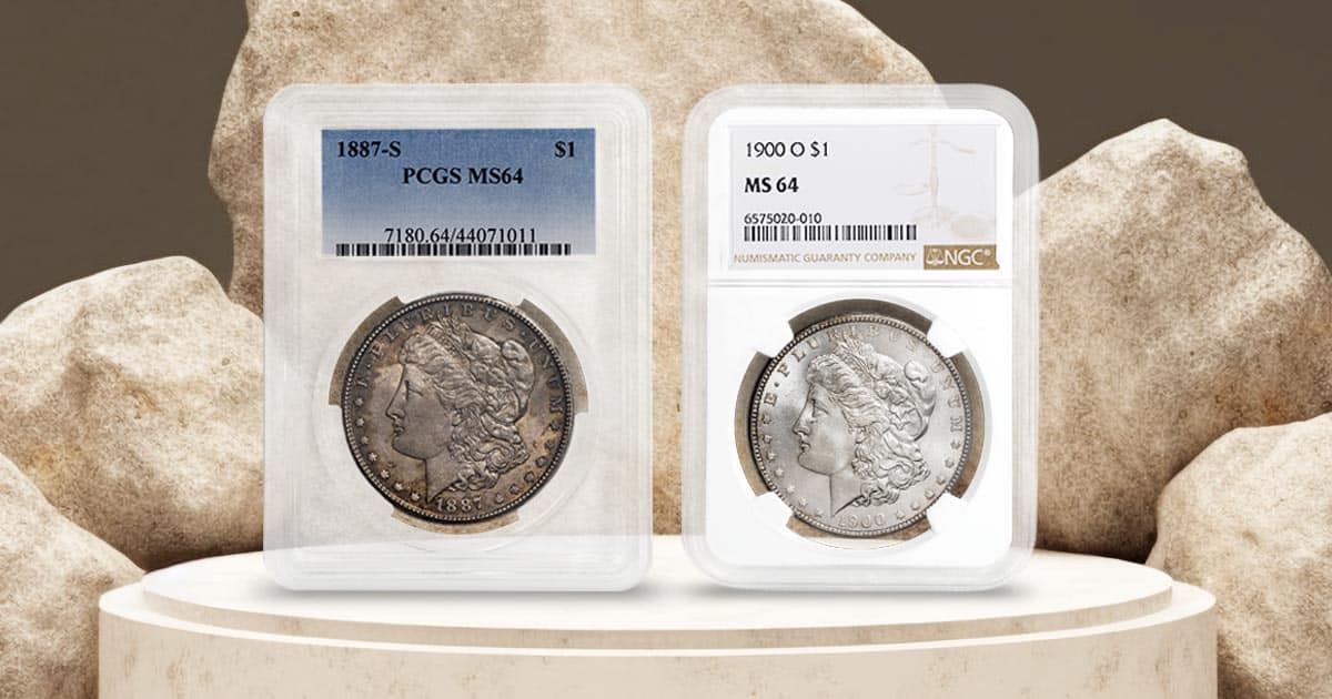 Graded Coin vs Ungraded Coins: Everything You Need To Know