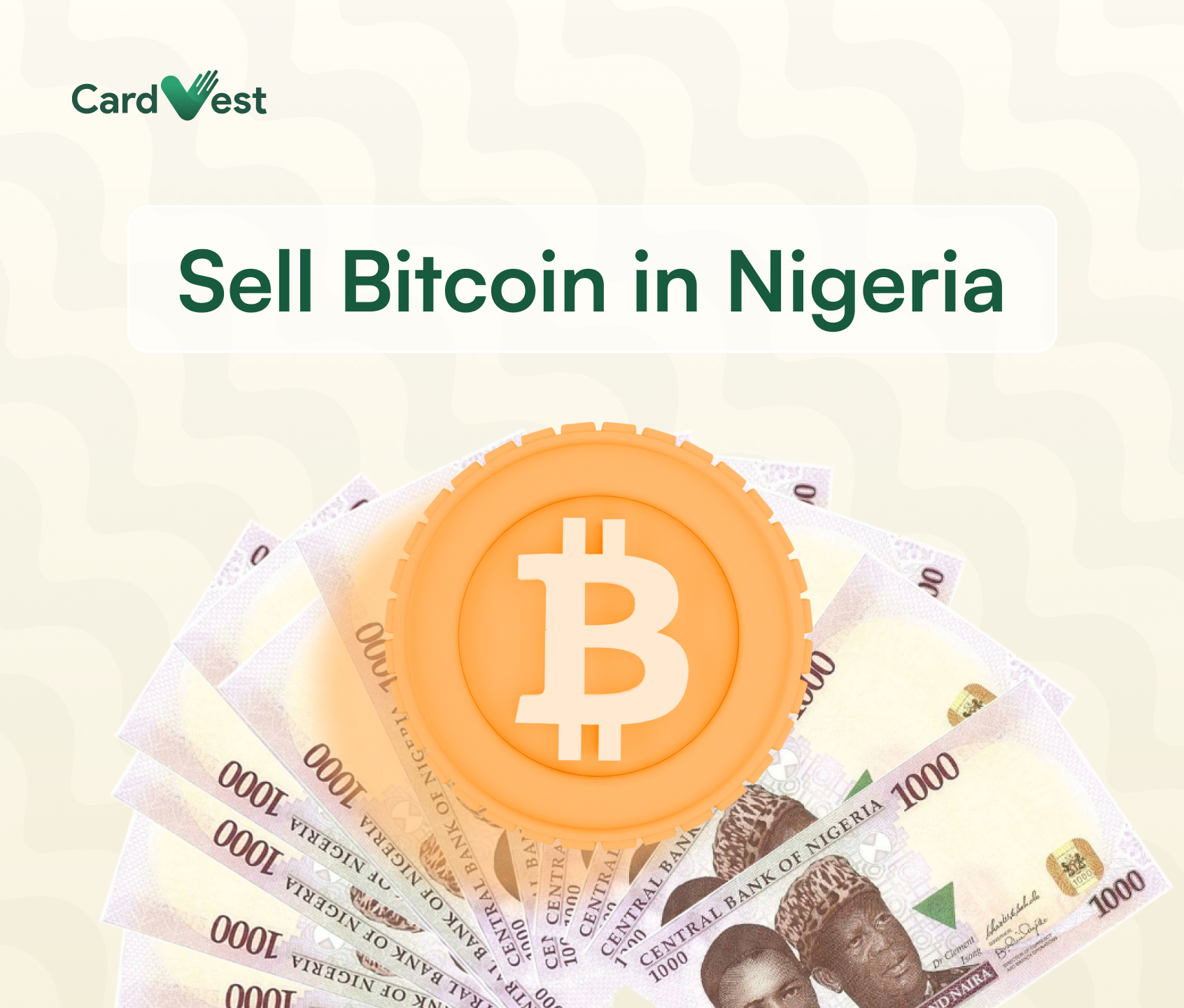 How much is 30, Naira (NGN) in Japanese Yen? | Nigerian Naira Converter