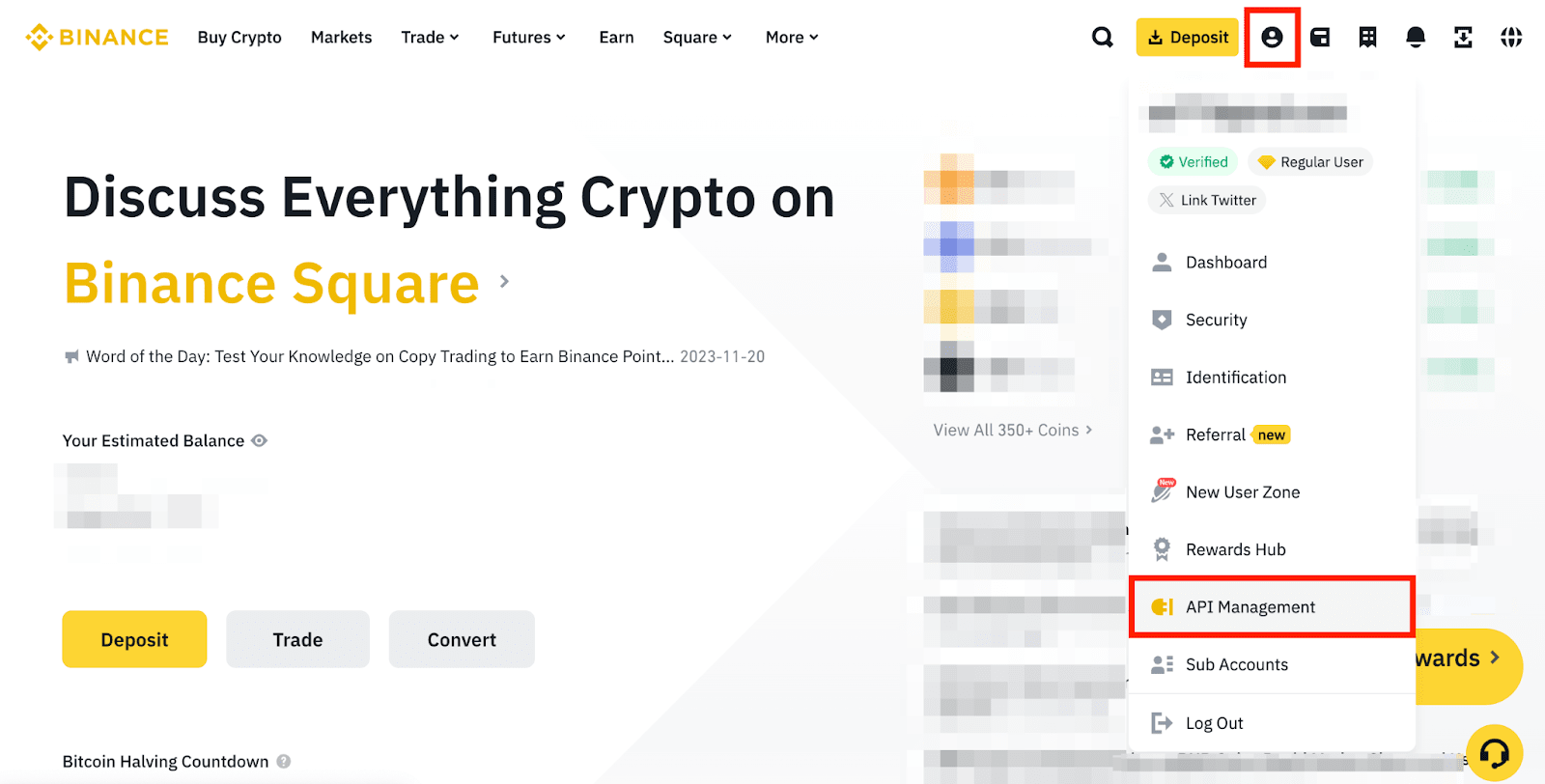 A Step-by-Step Guide to Getting Your Binance API Key