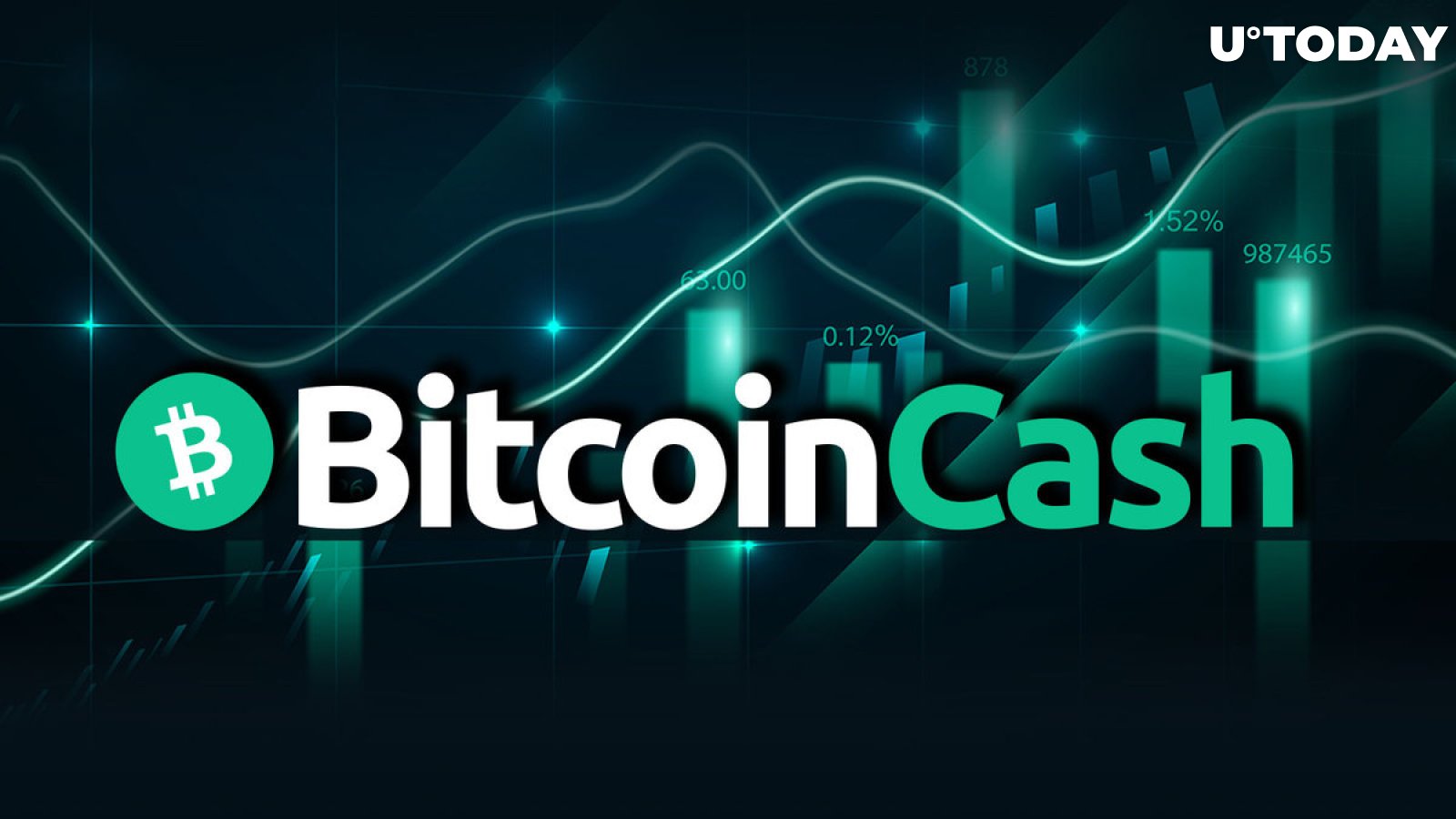 Buy Bitcoin Cash | BCH USD Price, Charts & News | family-gadgets.ru