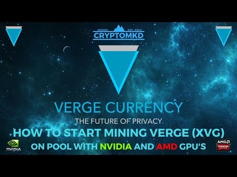What is Verge: All You Need To Know About The VTC Coin