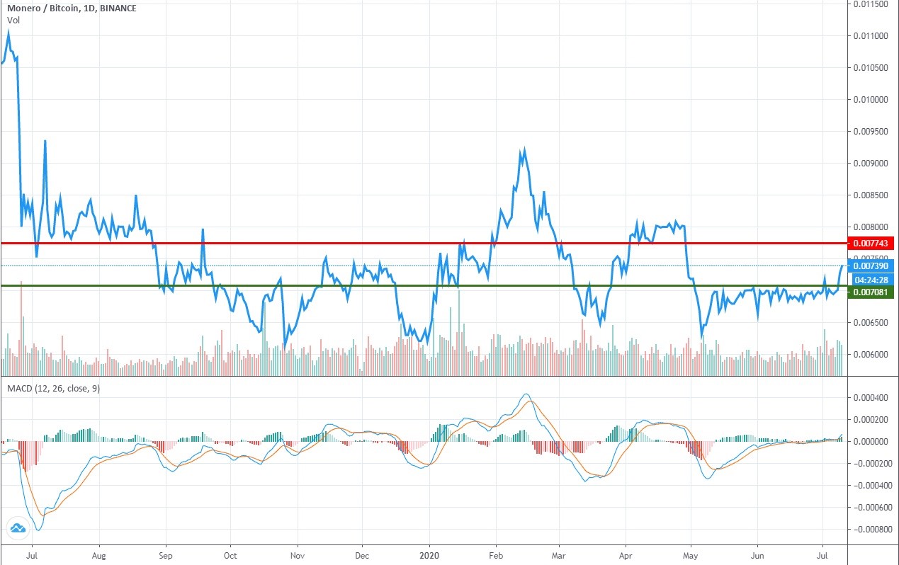 Monero (XMR) Price Prediction for Tommorow, Month, Year