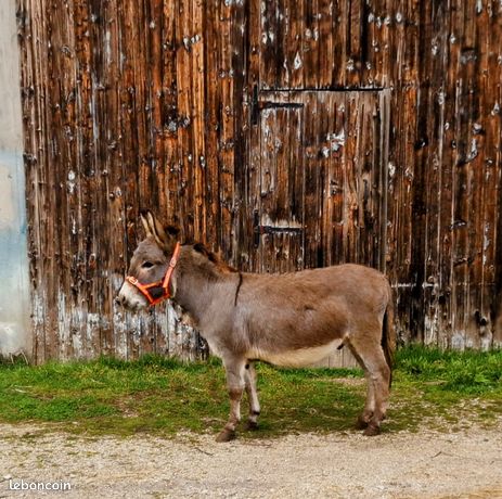 Travel by Camper Van in France - Aquitaine Travel Guide