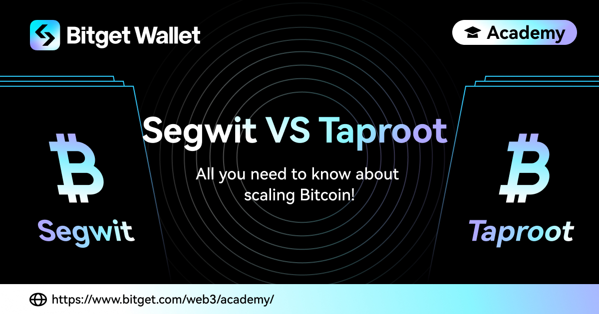 Bitcoin - Native SegWit vs Taproot: A Comprehensive Guide for Beginners | Trust