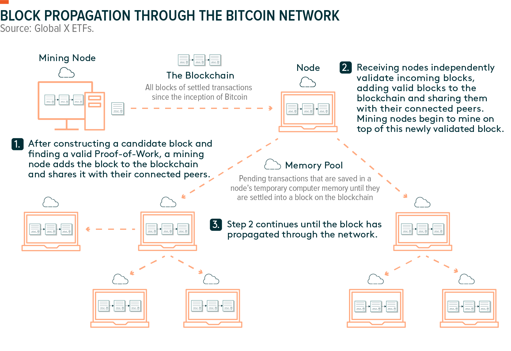 Bitcoin Block Explorer | BlockCypher