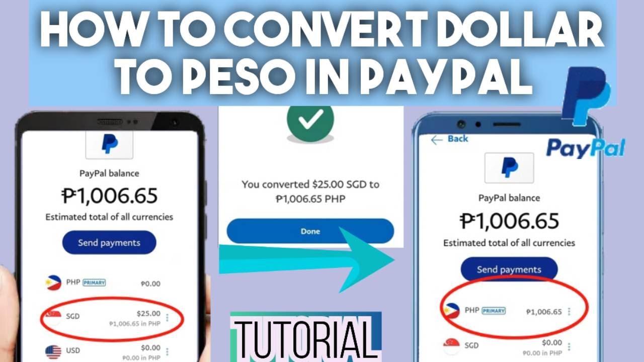 How do I convert my money to another currency in PayPal? | PayPal IN