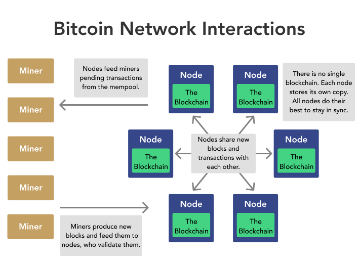 What are the Types of Nodes in Blockchain? - Utimaco