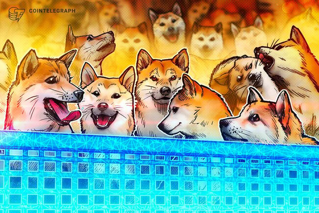 DKRAWgDj7LjXetMVMWPpZpYxF49YGp9VeL - Dogecoin Address