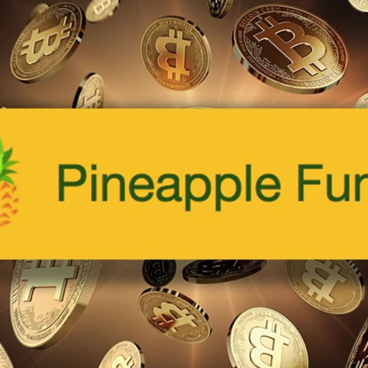 Bitcoin Millionaire Creates Pineapple Fund to Give $86 Million to Charity | family-gadgets.ru