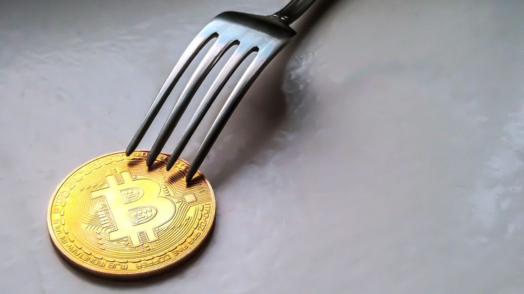 Cryptocurrency Forks that Take Place This Year ()