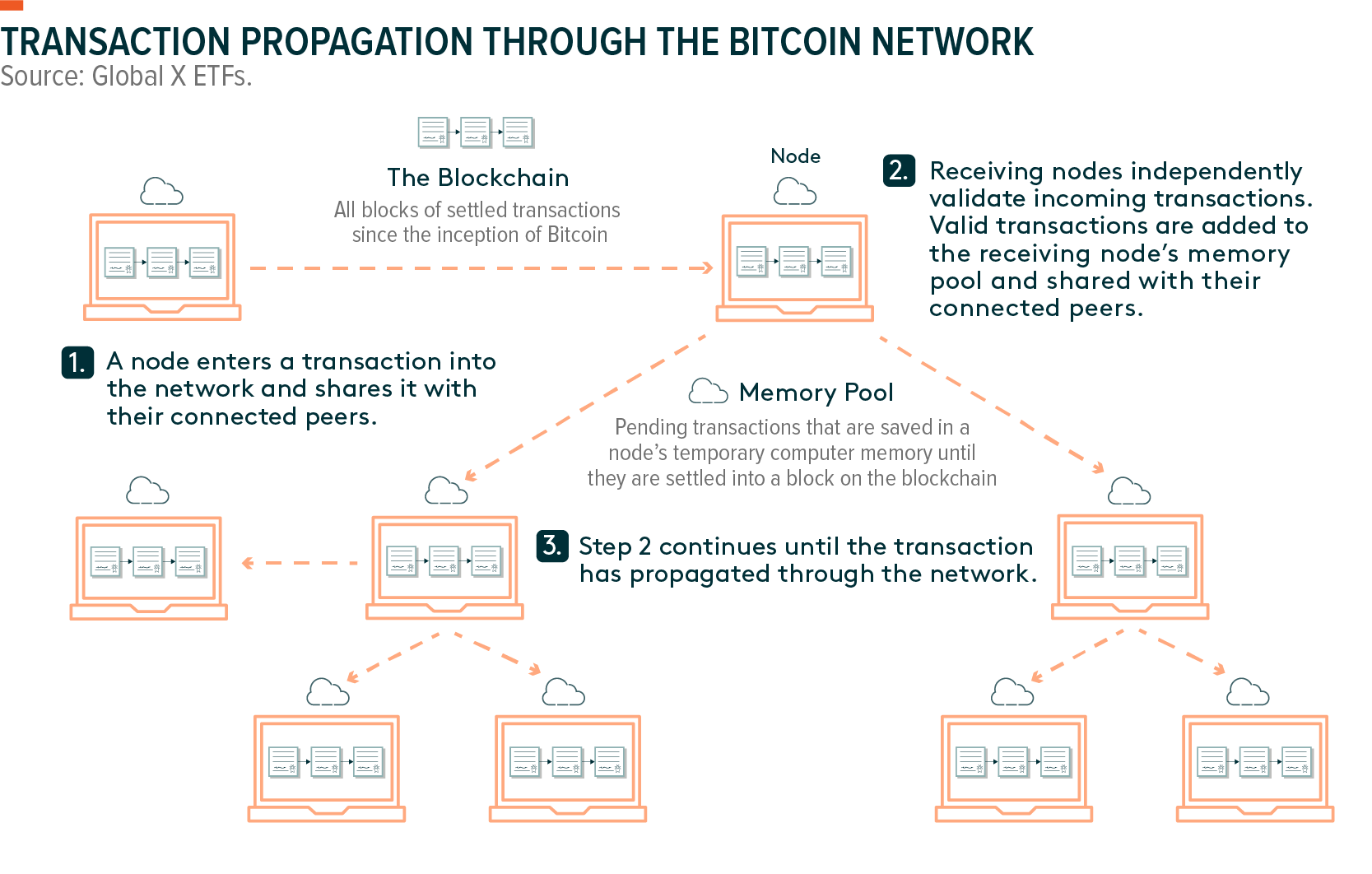 Blockchain Nodes | What Are Nodes and How Do They Work?