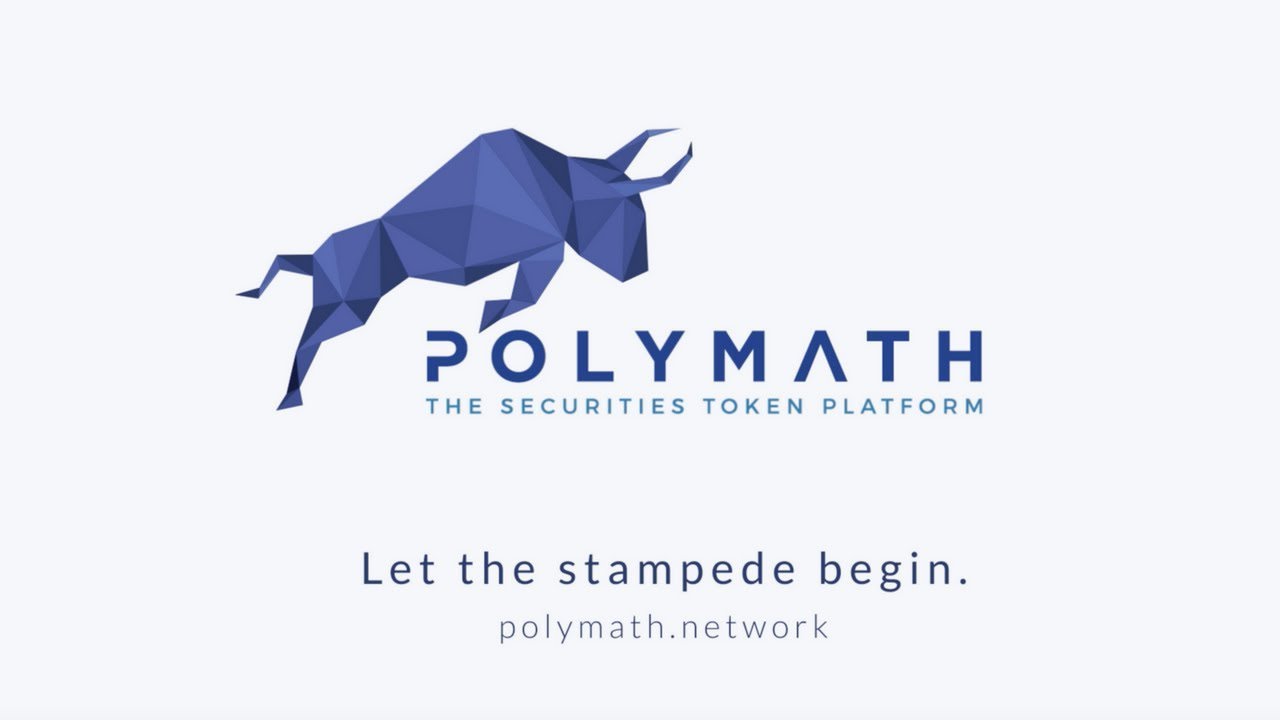 Polymath Review: Poly Still Worth It? What You NEED to Know