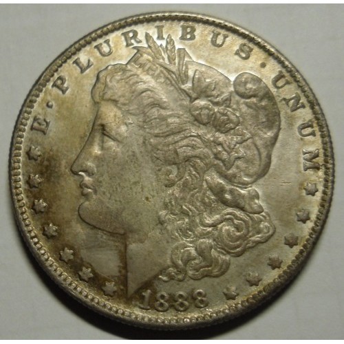 Morgan Silver Dollar Value | Discover Their Worth