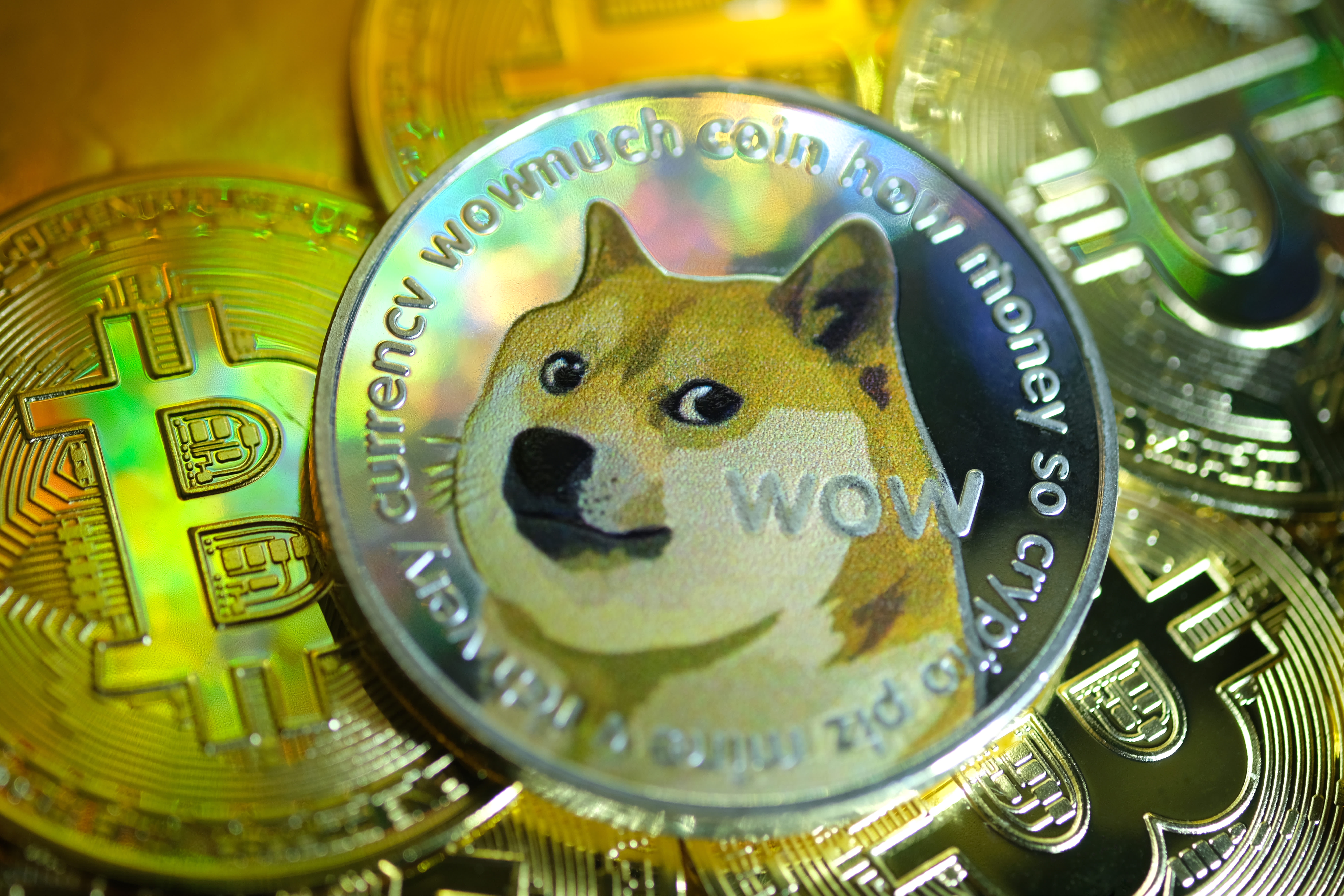 Bitcoin vs Dogecoin Difference: How To Compare, Which To Invest In