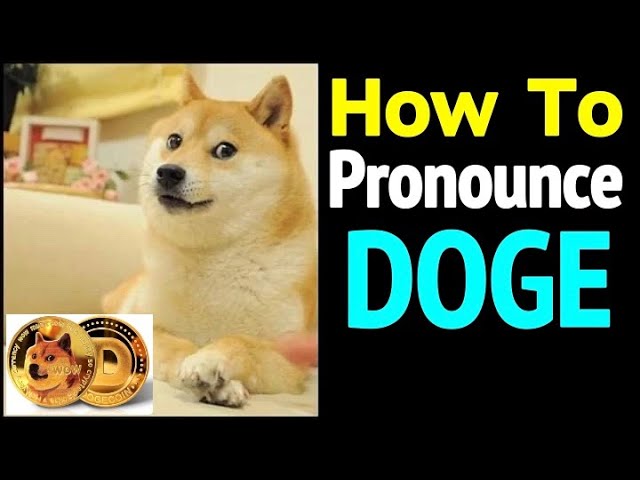 Take the dog out in Spanish | English to Spanish Translation - family-gadgets.ru