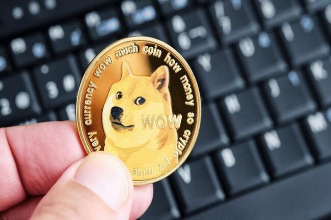 Dogecoin Price in India Today, DOGE INR Price Chart & Market Cap (2 Mar ) | family-gadgets.ru