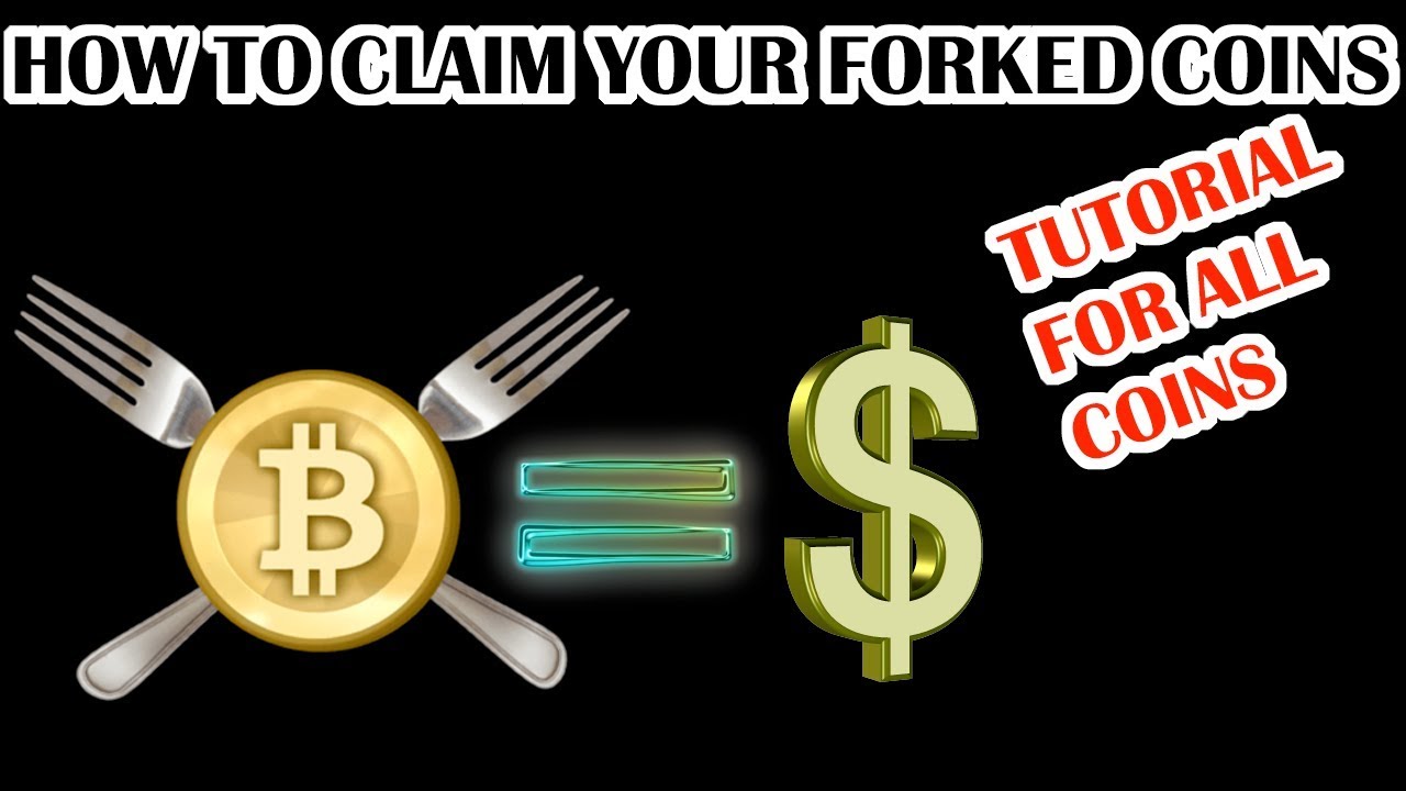 The Basic Guide on How to Claim and Sell Bitcoin Forks