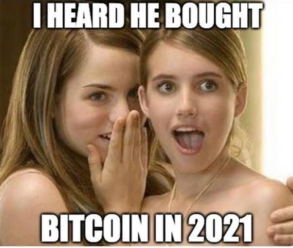 23 Crypto Memes ideas | memes, bitcoin, cryptocurrency