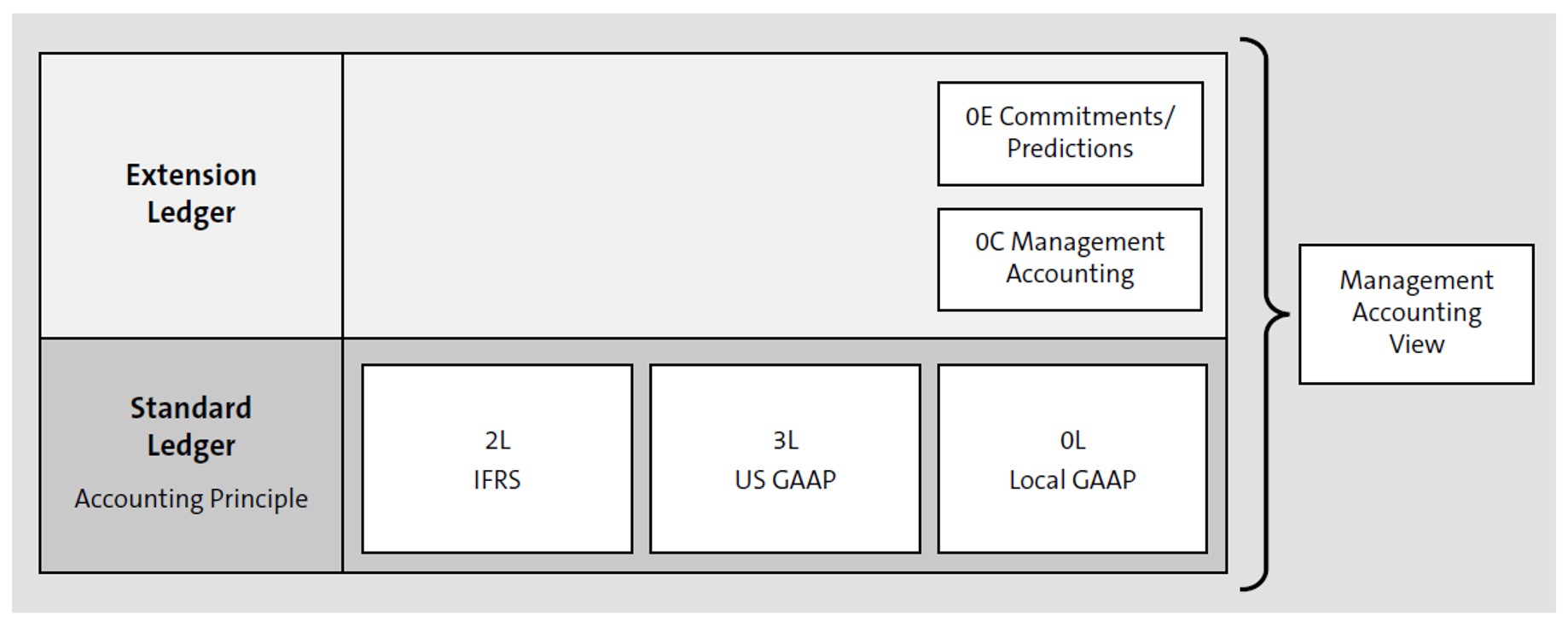 Parallel Ledger and Extension Ledger in SAP S/4HANA - Draxinger & Lentz