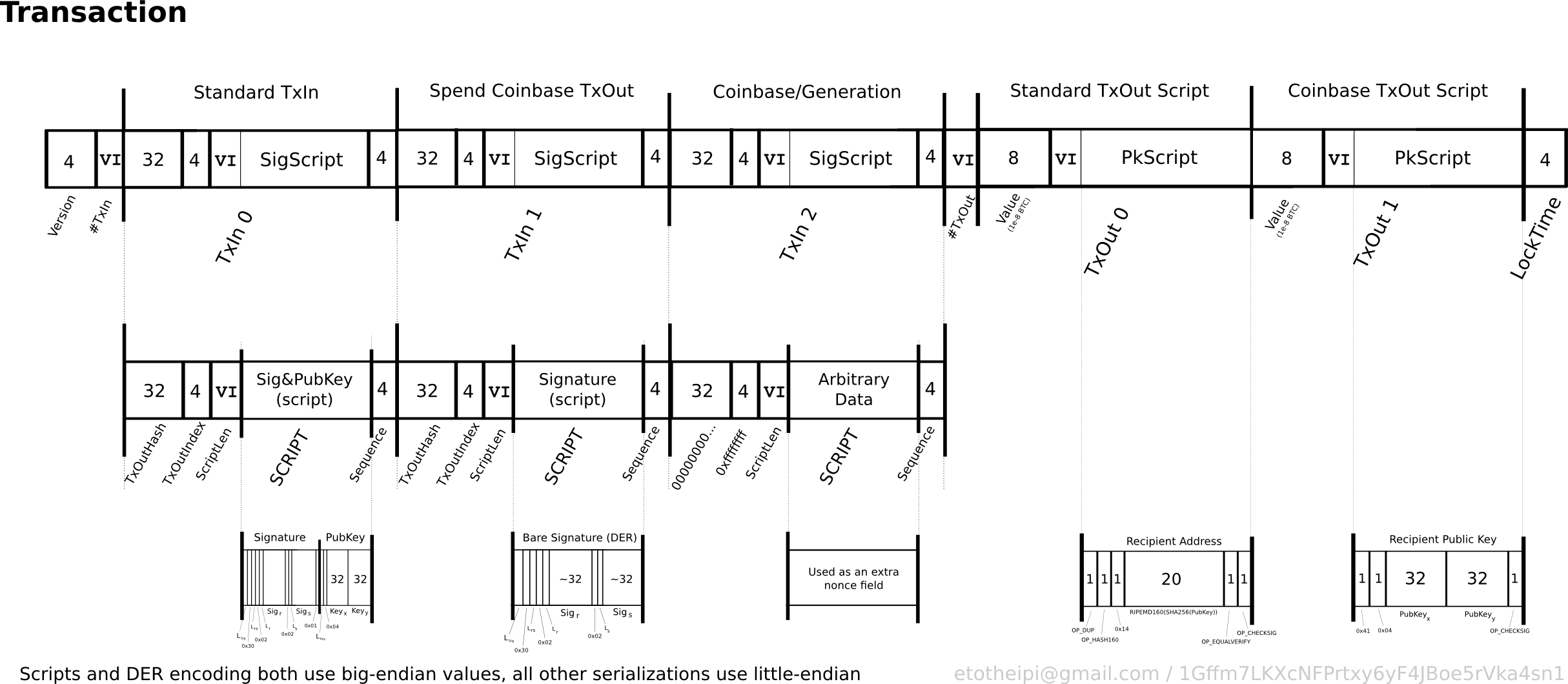 Bitcoin raw transaction and transaction id - New Technology