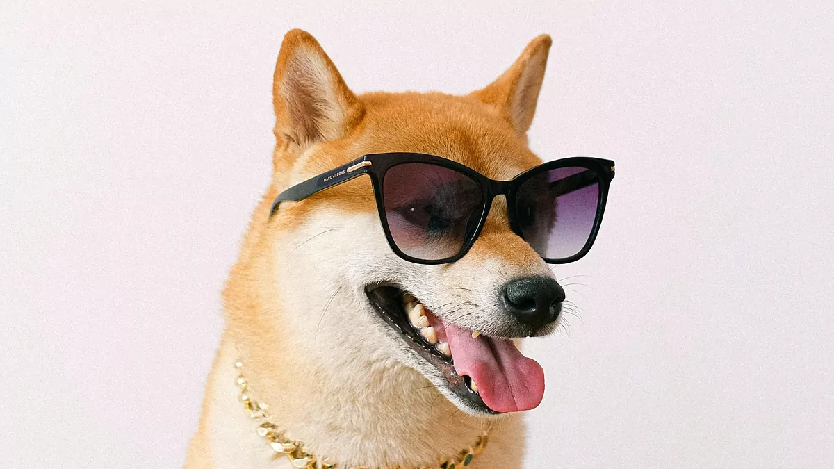 Top Cryptos To Watch This Week: Pepe (PEPE), Floki (FLOKI), and Shiba Inu (SHIB) - WazirX Blog