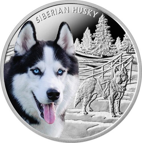 HUSKY SOLANA (HUSKY) live coin price, charts, markets & liquidity