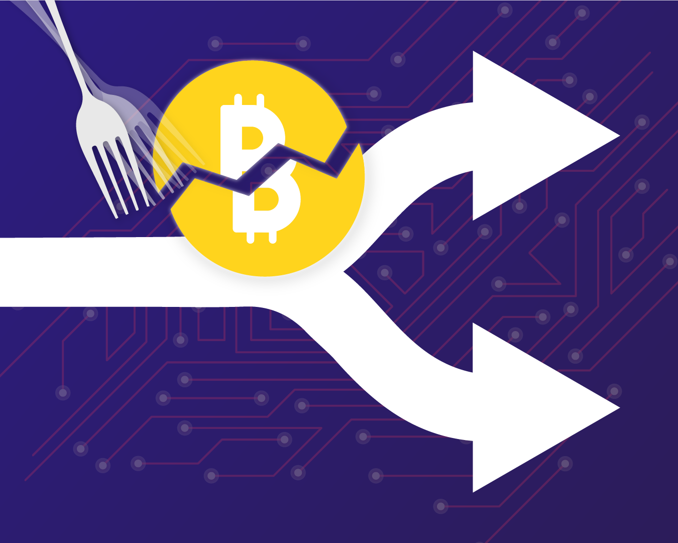 What Are Bitcoin Forks?