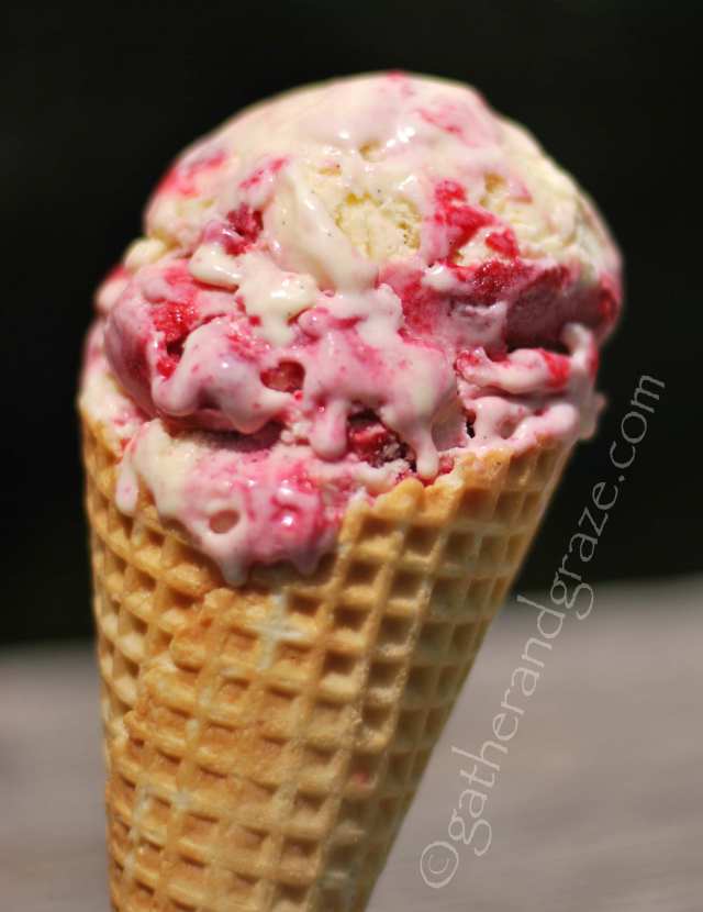 Raspberry Ripple Vegan - Cheshire Farm Ice Cream