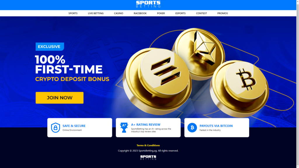 Top 10 Bitcoin Betting Sites 