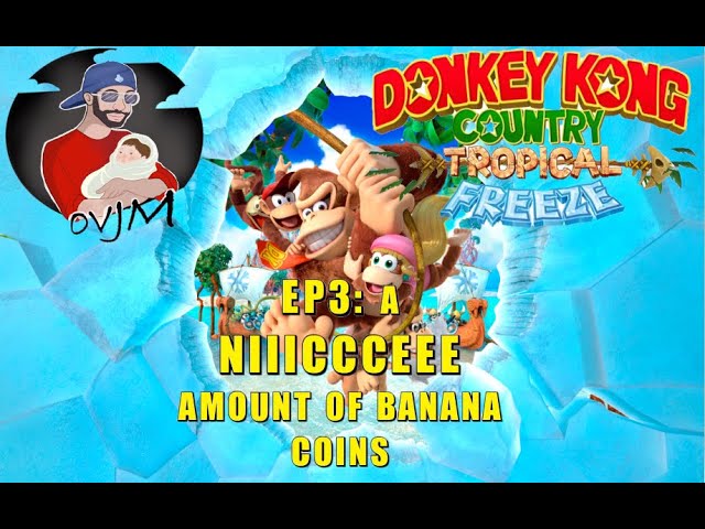 Donkey Kong Country 2: Diddy's Kong Quest (SNES - ) - Lynk, WTF; Christopher Lynk's Website