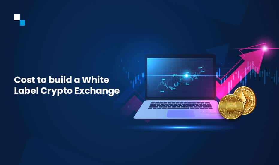 WhiteLabel Crypto Exchange Cost | How Much Does Crypto Exchange Cost?