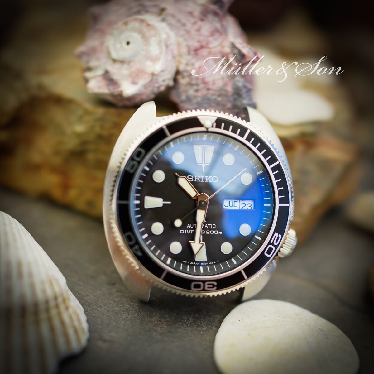 Turdle coin edge bezel suggestions - The Dive Watch Connection