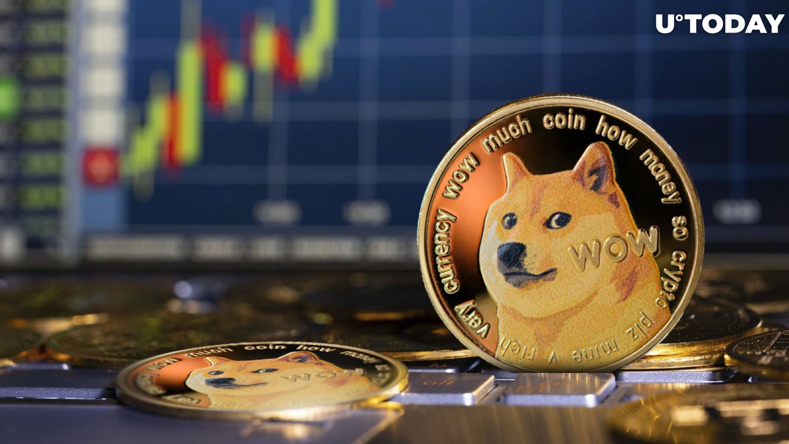 Free Dogecoin Reviews | Read Customer Service Reviews of family-gadgets.ru