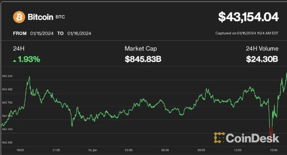 Grayscale lobbies SEC to approve options on spot bitcoin ETFs | Reuters