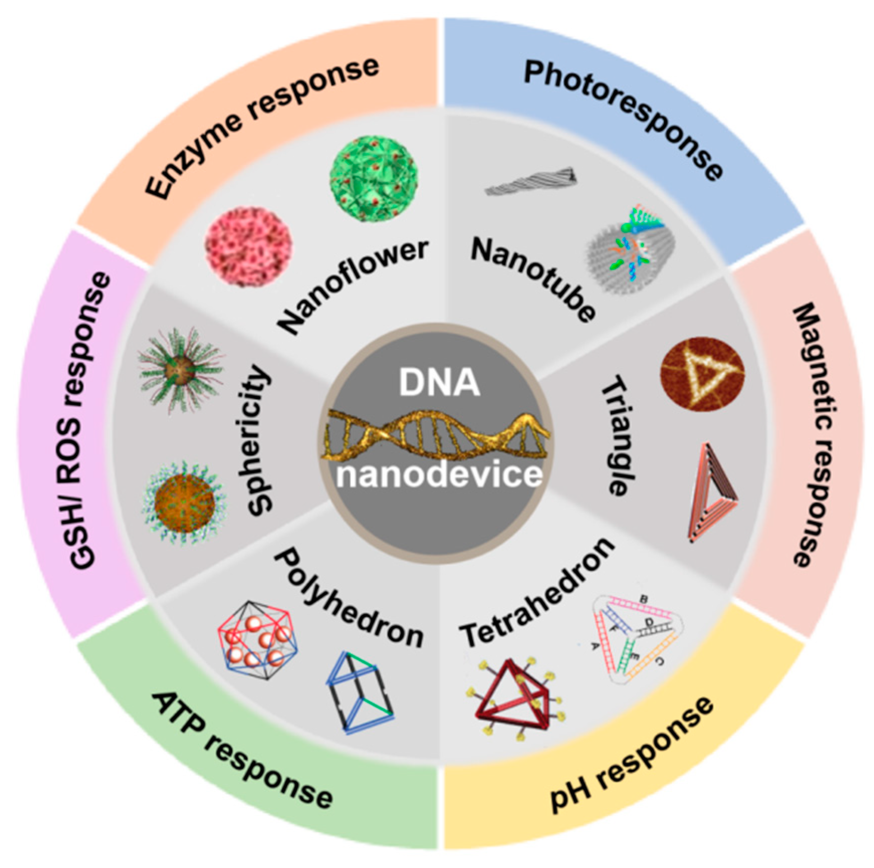 Where to Buy DNA (EncrypGen)? Exchanges and DEX for DNA Token | family-gadgets.ru