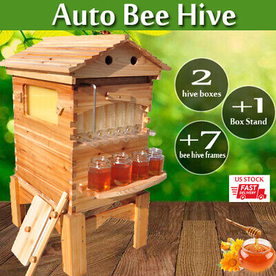 Honey Bee Hive: Newton-Type Wooden Two-Chamber Indian Honey Bee Box – Malabar Honey