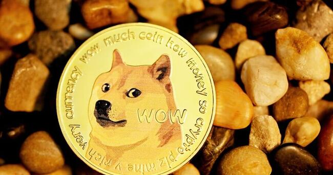 DogeCoin to Euro | Convert DOGE EUR