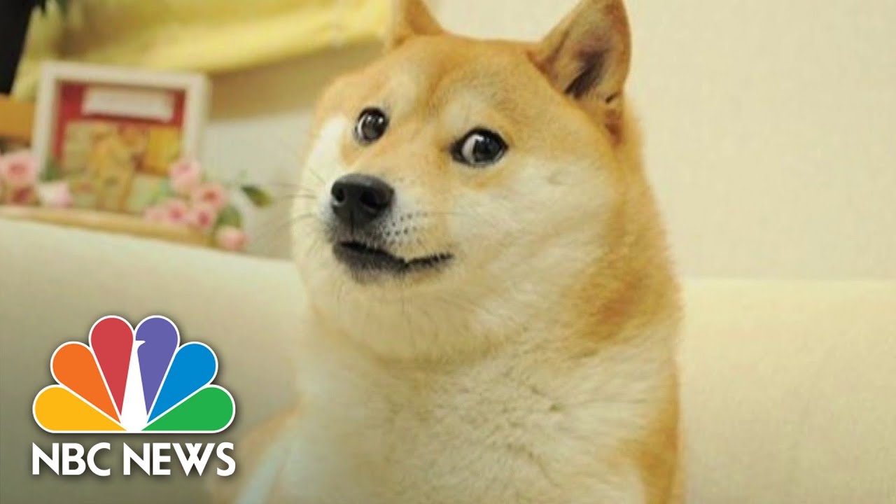 Dogecoin Videos and HD Footage - Getty Images