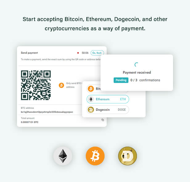 BitPay Clone App Script | Build a Secure Crypto Payment Gateway Like BitPay