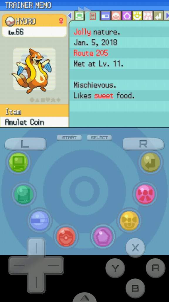 Where Do You Get The Amulet Coin In Pokemon Platinum? - Blurtit