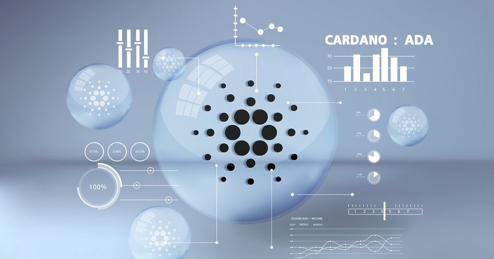 How to choose a stake pool cardano and how to pick the best staking pool cardano - family-gadgets.ru