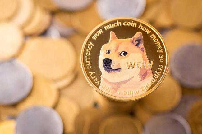 DOGE to ETH: Instant Dogecoin Conversion Tool | Bitsgap