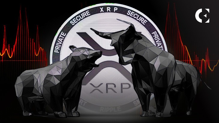 CryptoWolf - XRP CHAT